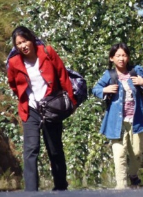 伊人直播app